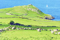 Ireland-Antrim-The Glens of Antrim cycling safari